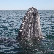IMG 0001 2 (69)